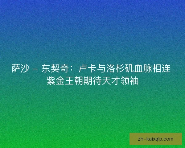 萨沙 - 东契奇：卢卡与洛杉矶血脉相连 紫金王朝期待天才领袖